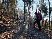 Monte Gugliemo dal sentiero nel Bosco degli Gnomi il 23 dicembre 2014   - FOTOGALLERY